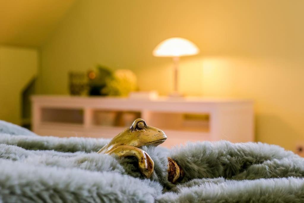 Charmante, Grosszuegige Ferienwohnung Villa Fleurie Bretten Dış mekan fotoğraf